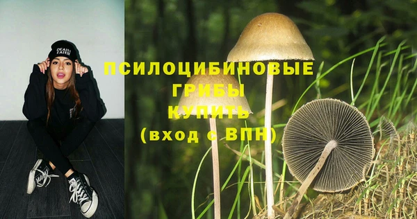 молекула духа Приозерск