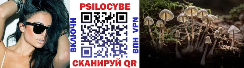 Псилоцибиновые грибы прущие грибы  Старая Купавна 